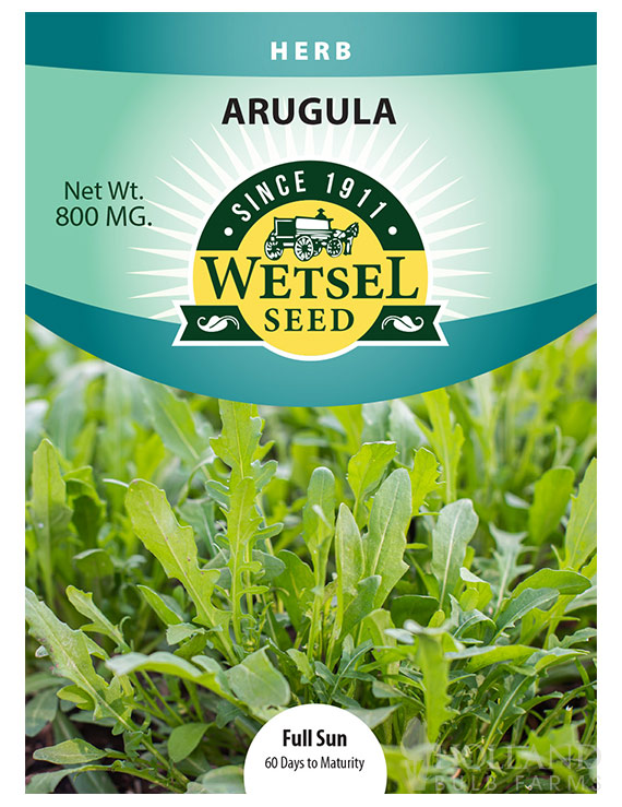 Arugula Rocket