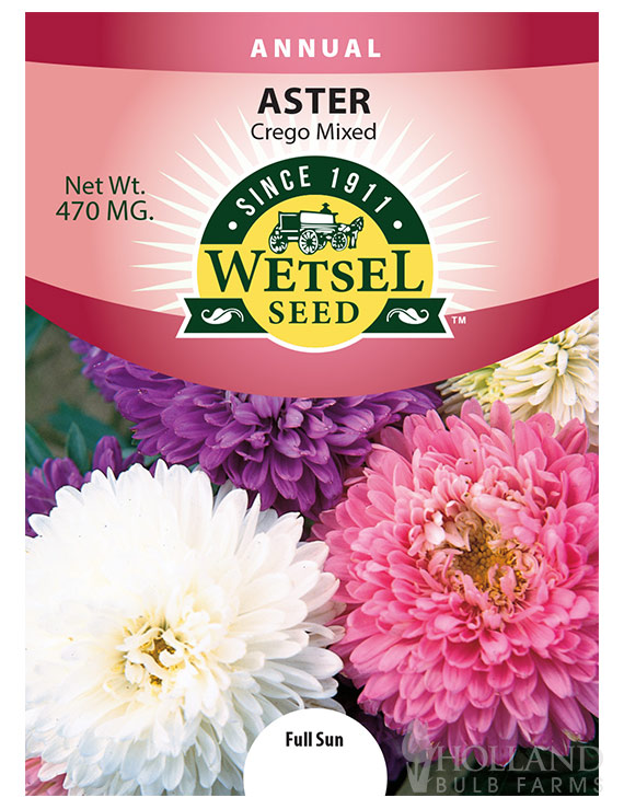 Aster Crego mixed