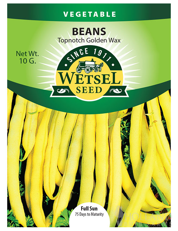 Bush Bean Top Notch Golden Wax