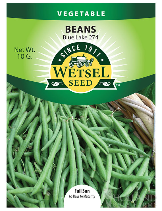 Bush Green Bean Blue Lake