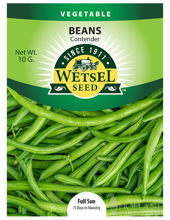 Bush Green Bean Contender Stringless