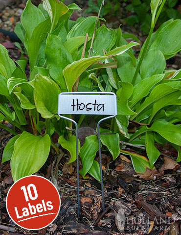 Cap Style Plant Labels 