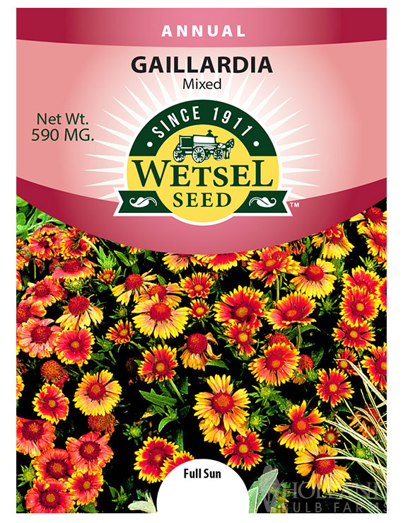 Gaillardia Mixed