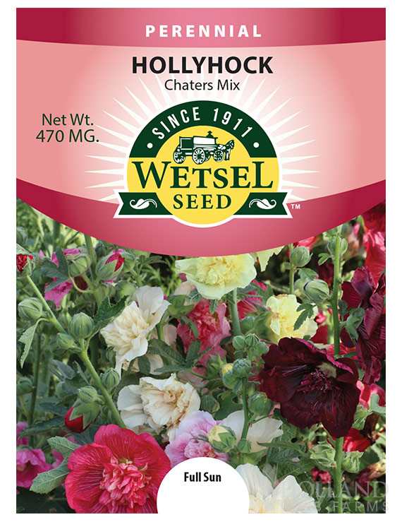 Hollyhock Chaters Double Mix