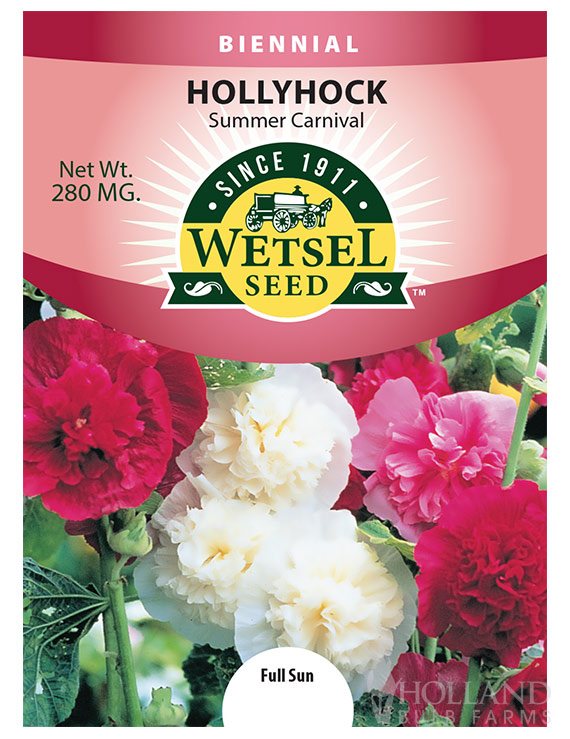 Hollyhock Summer Carnival Mix