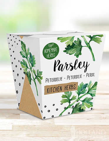 Homemade Herb Kit- Kitchen Parsley