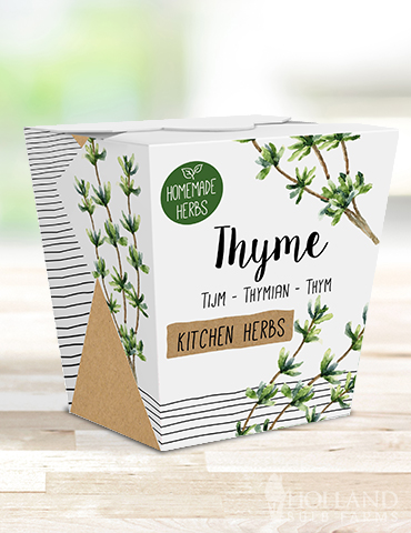 Homemade Herb Kit- Kitchen Thyme