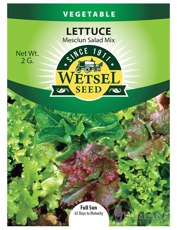 Lettuce Mesclun Mix