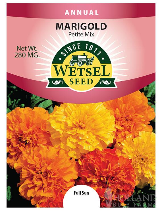 Marigold Petite Mix