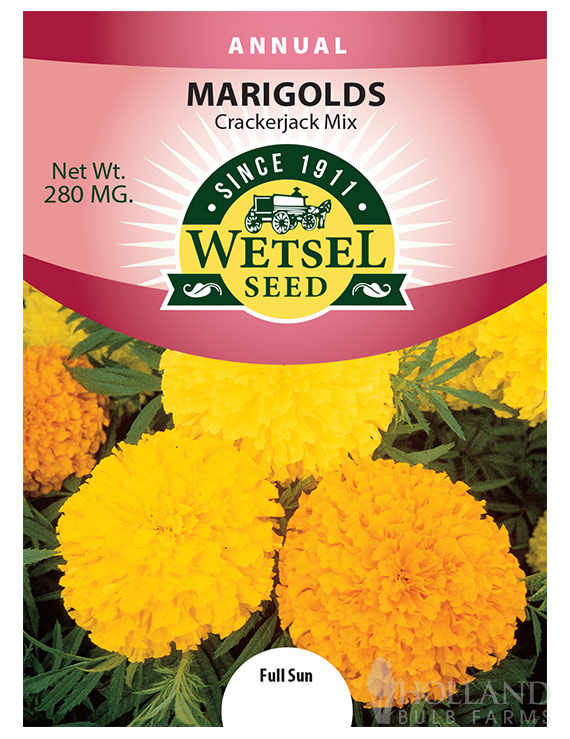 Marigold Tall Crackerjack Mix