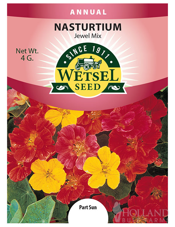 Nasturtium Dwarf Jewel Mix