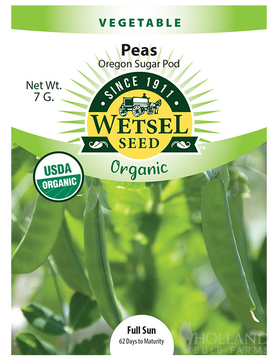 Organic Oregon Sugar Pea Pod