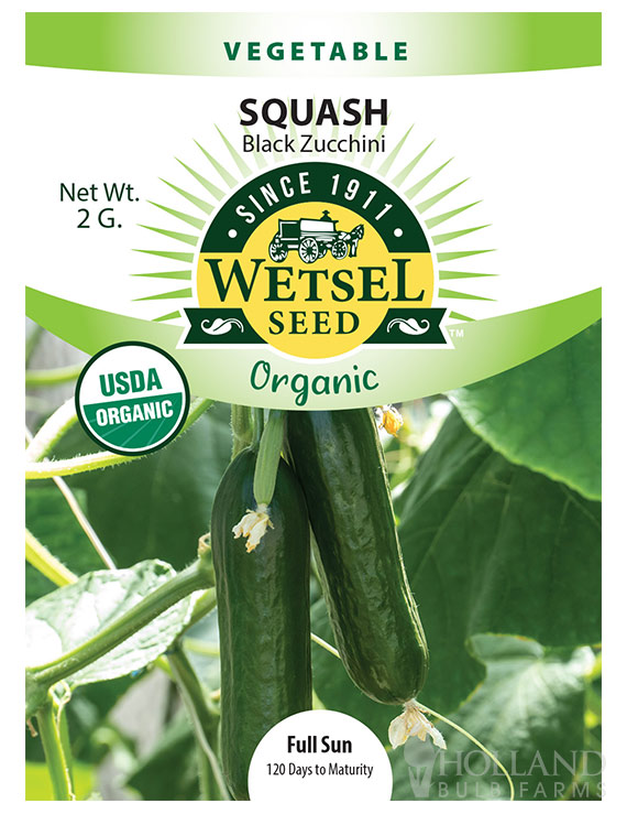 Organic Zucchini Black