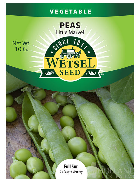 Pea Little Marvel