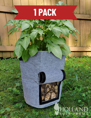 Potato Growing Bag 