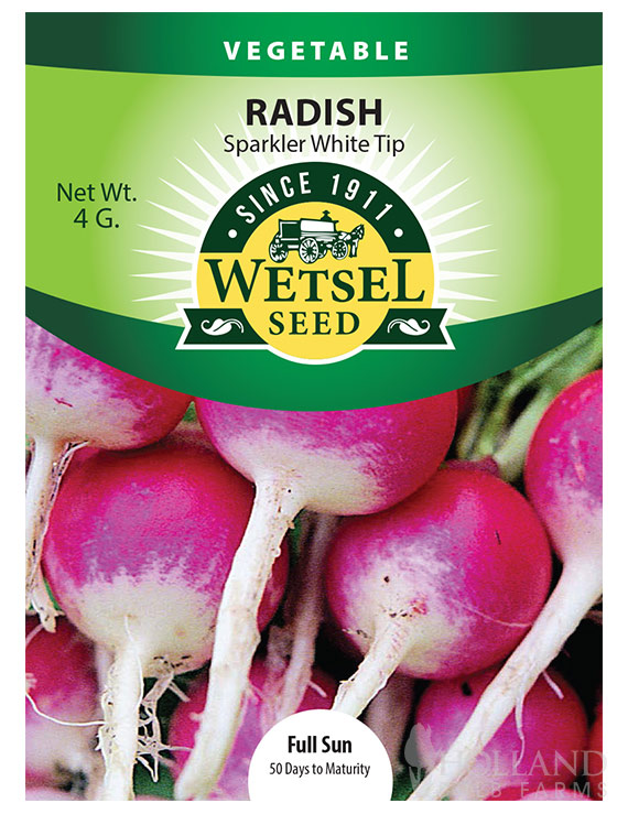 Radish Sparkler White Tip