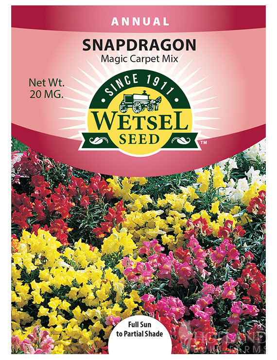 Snapdragon Dwarf Magic Carpet Mix