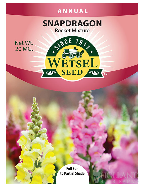 Snapdragon Rocket Mix