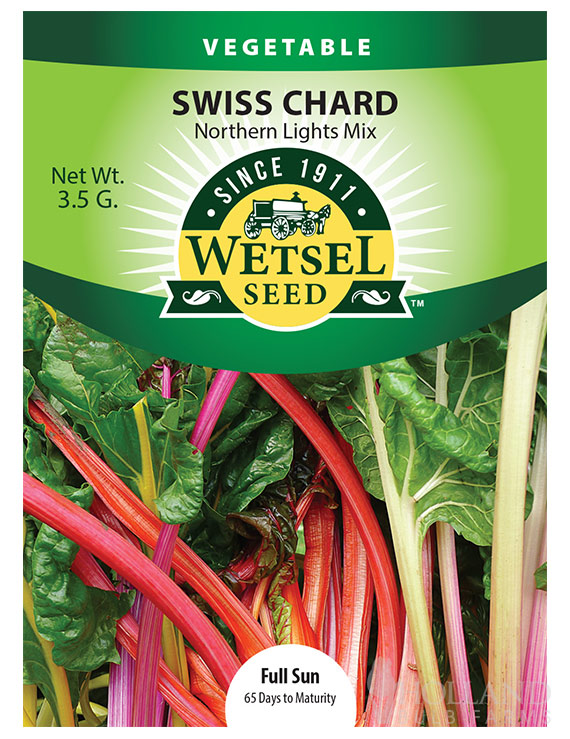 Swiss Chard Northern Lights