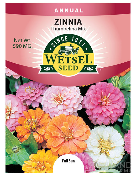 Zinnia Thumbelina Mix