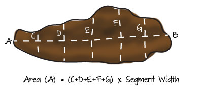 Irregularly Shaped Garden Diagram